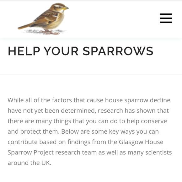 Other - Save the Sparrows!